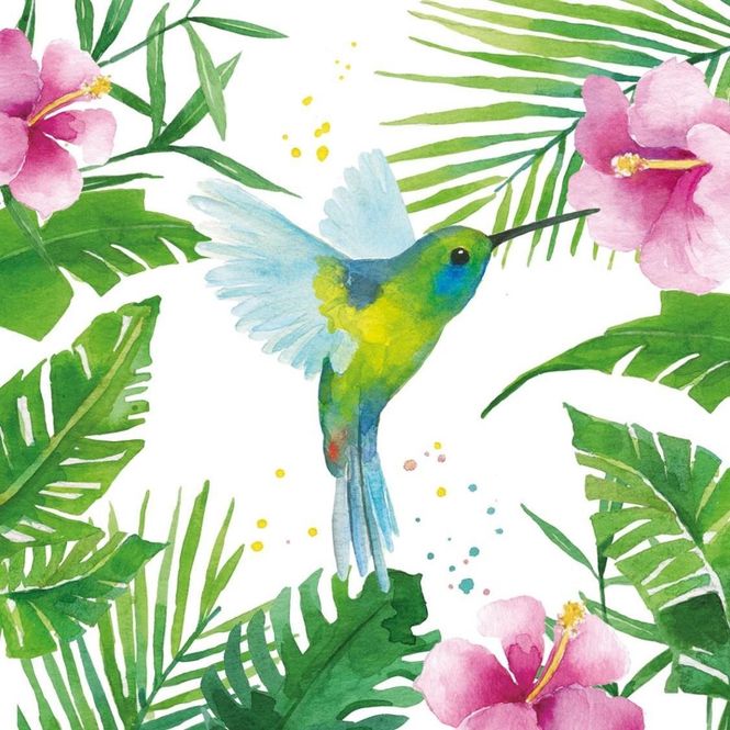 Hovedbilde Middagsservietter Tropical 
