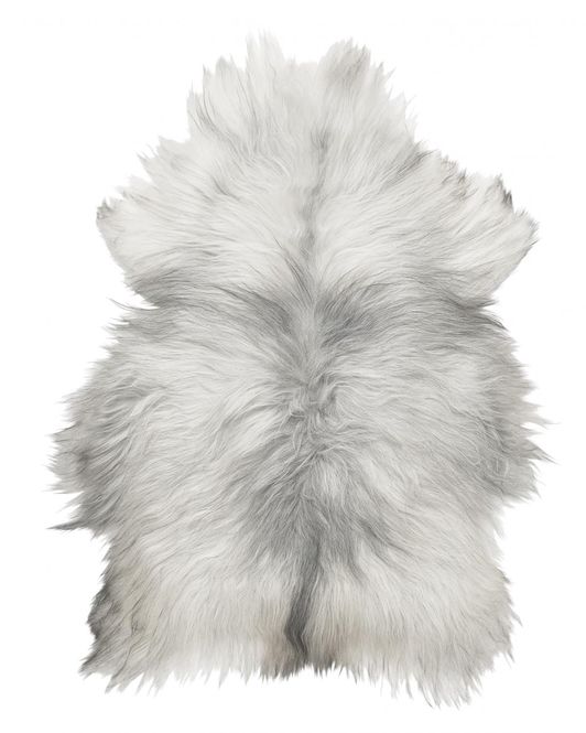 Hovedbilde Molly lammeskinn 60x90 cm– Natural Grey