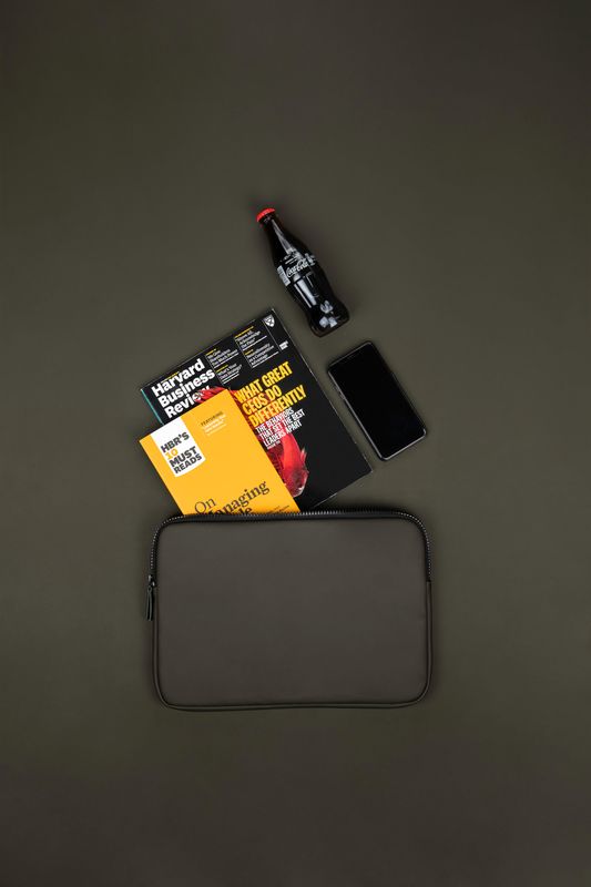 Baltimore PC-etui 15`` Vinga