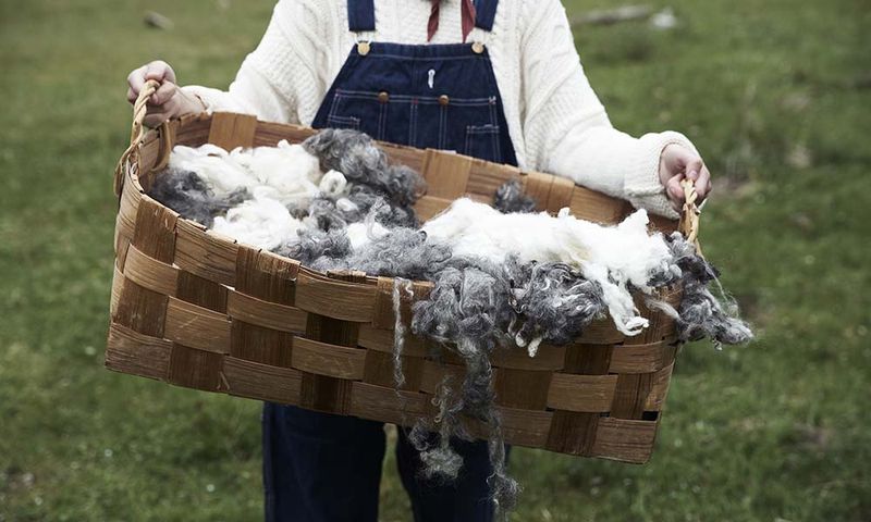 Pledd i 100% økologisk  lammeull Lappland blå fra Klippan