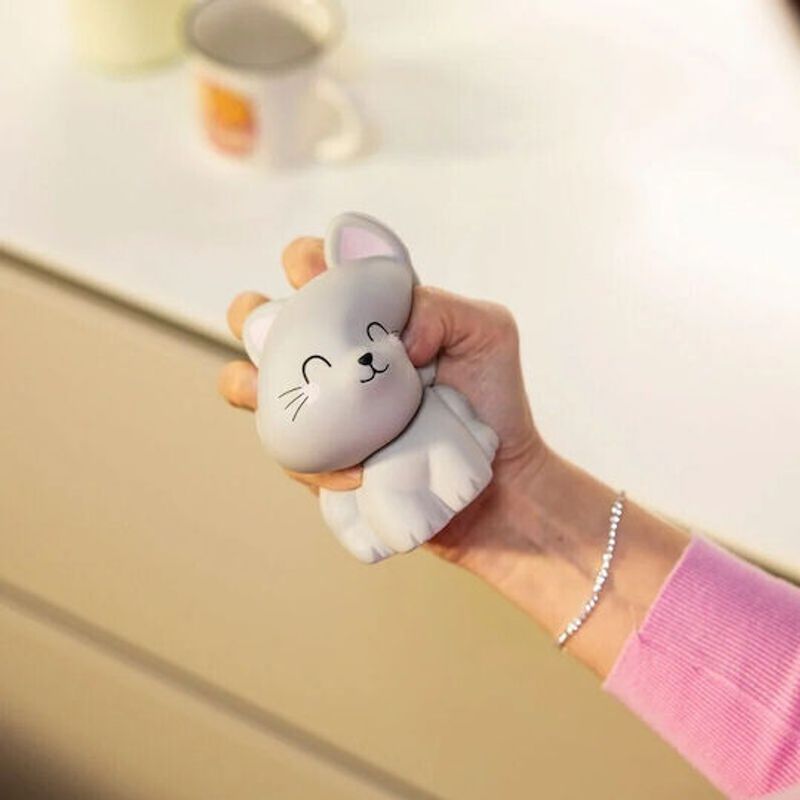 LOL Antistress Squishy Katt